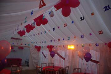 Exquisite Marquees Interior Roof Lining